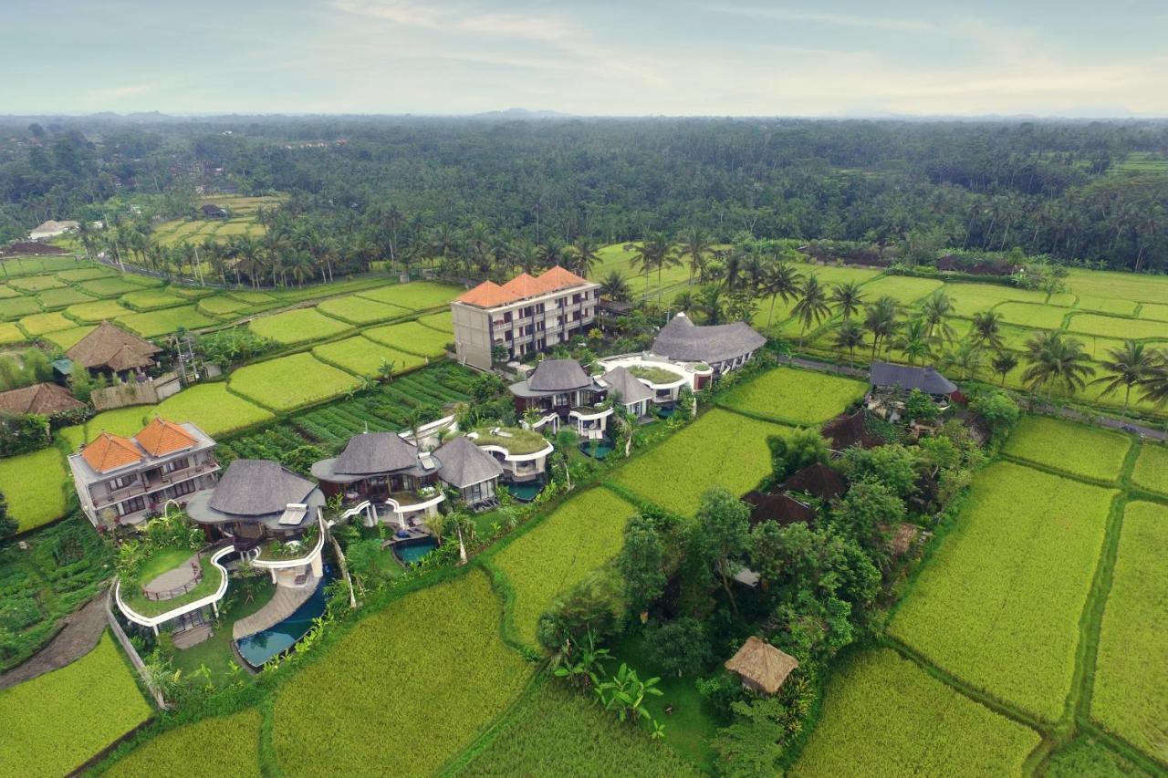 Mango Ubud Buitenkant foto