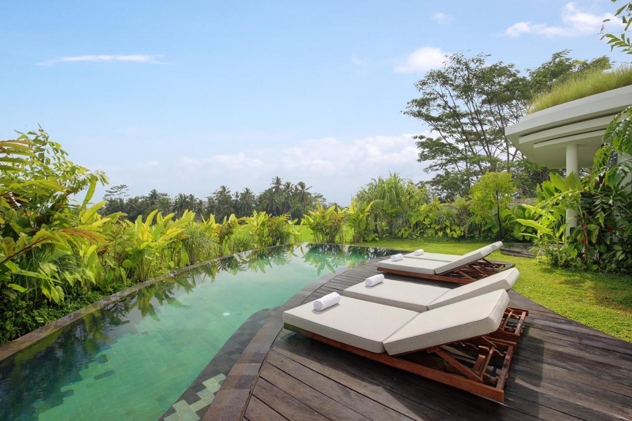Mango Ubud Buitenkant foto